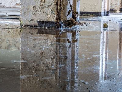 About Elgin Crawl Space Mold Remediation - basement water damage restoration experts in Elgin